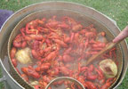Delicious boiled crawfish, a New Orleans favorite.